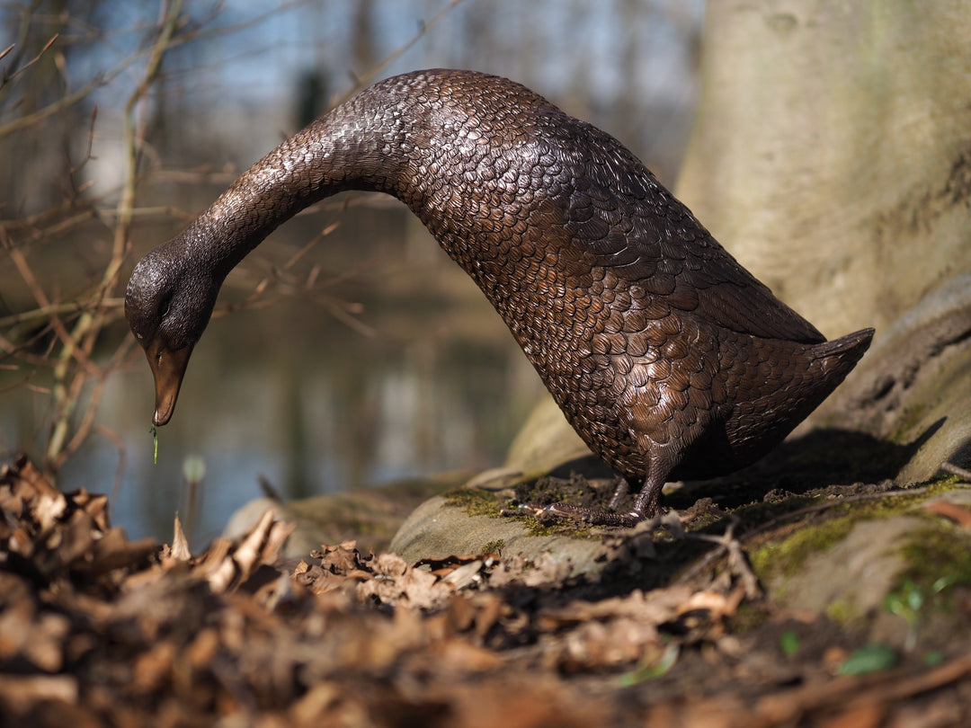 Bronze sculpture of an Indian runner duck looking down