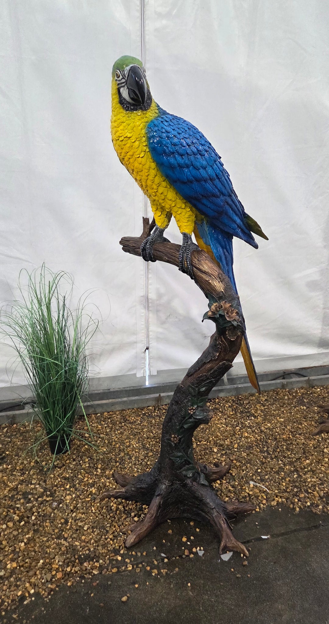 Lifesize bronze sculpture of a macaw sitting on a branch