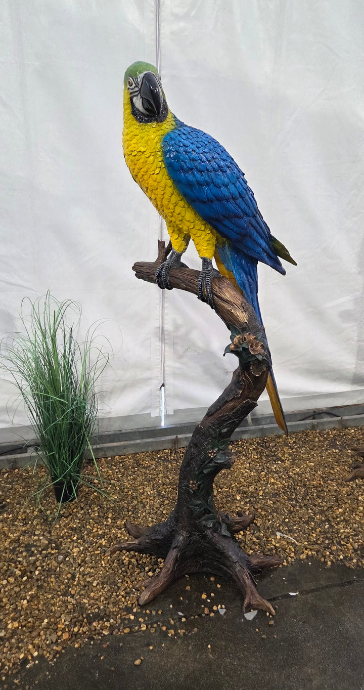 Lifesize bronze sculpture of a macaw sitting on a branch