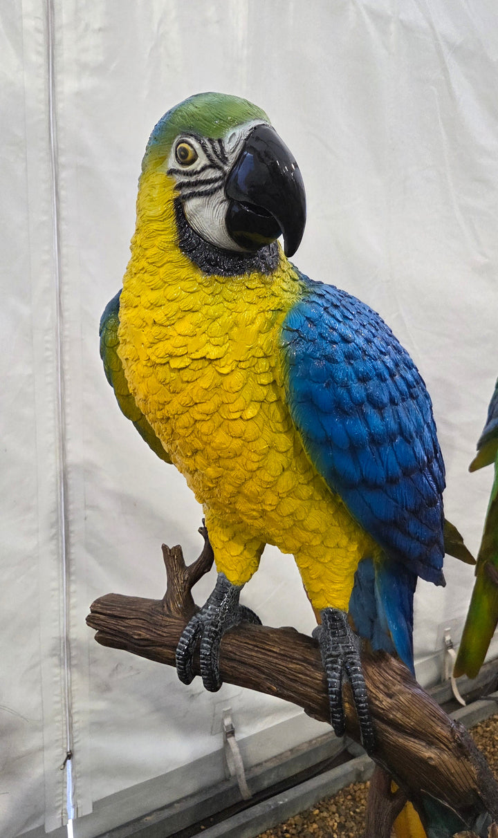 Lifesize bronze sculpture of a macaw sitting on a branch