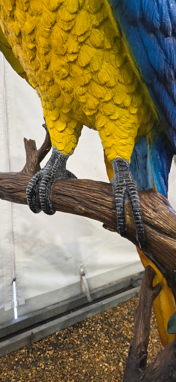 Lifesize bronze sculpture of a macaw sitting on a branch