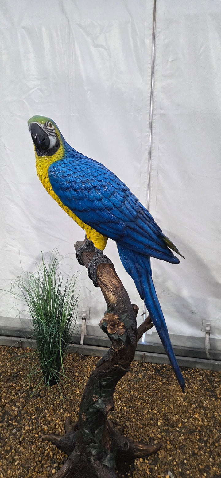 Lifesize bronze sculpture of a macaw sitting on a branch