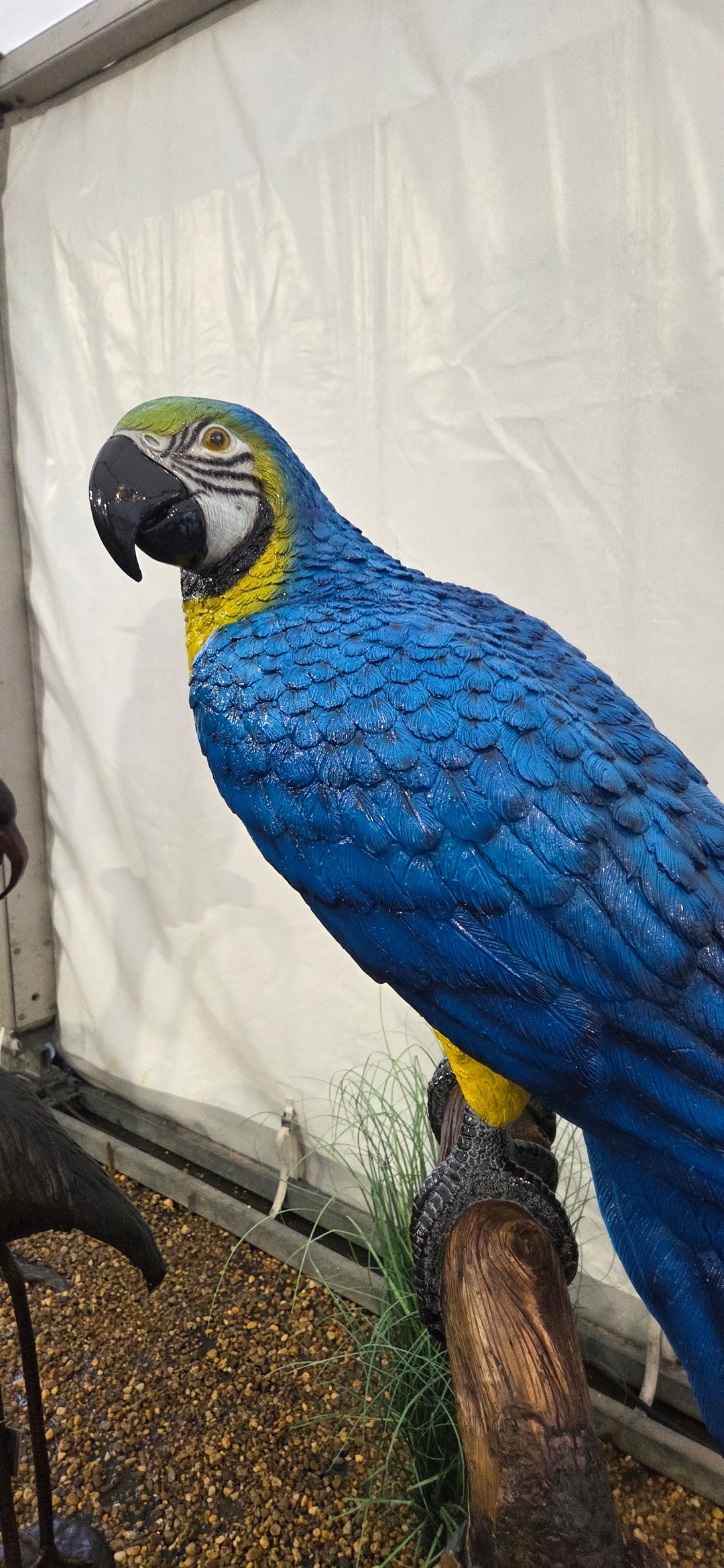 Lifesize bronze sculpture of a macaw sitting on a branch