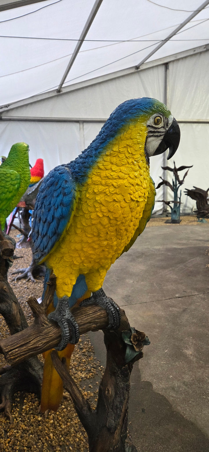 Lifesize bronze sculpture of a macaw sitting on a branch