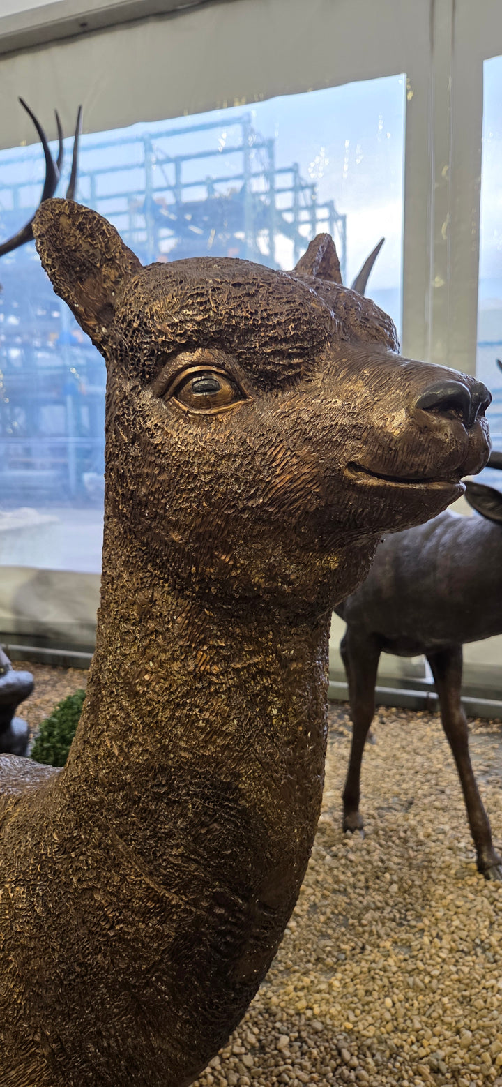 Lifesize bronze alpaca sculpture