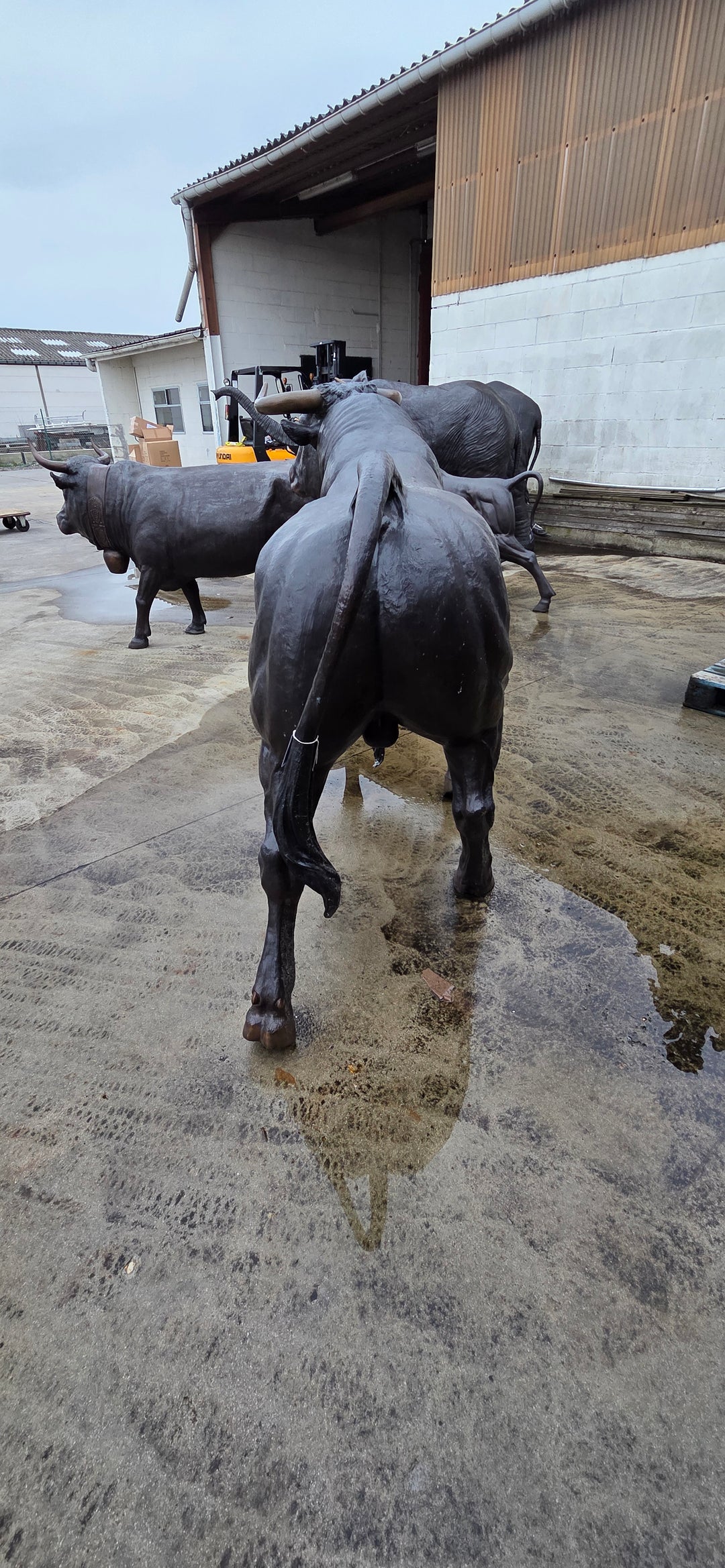 Lifesize bronze bull sculpture