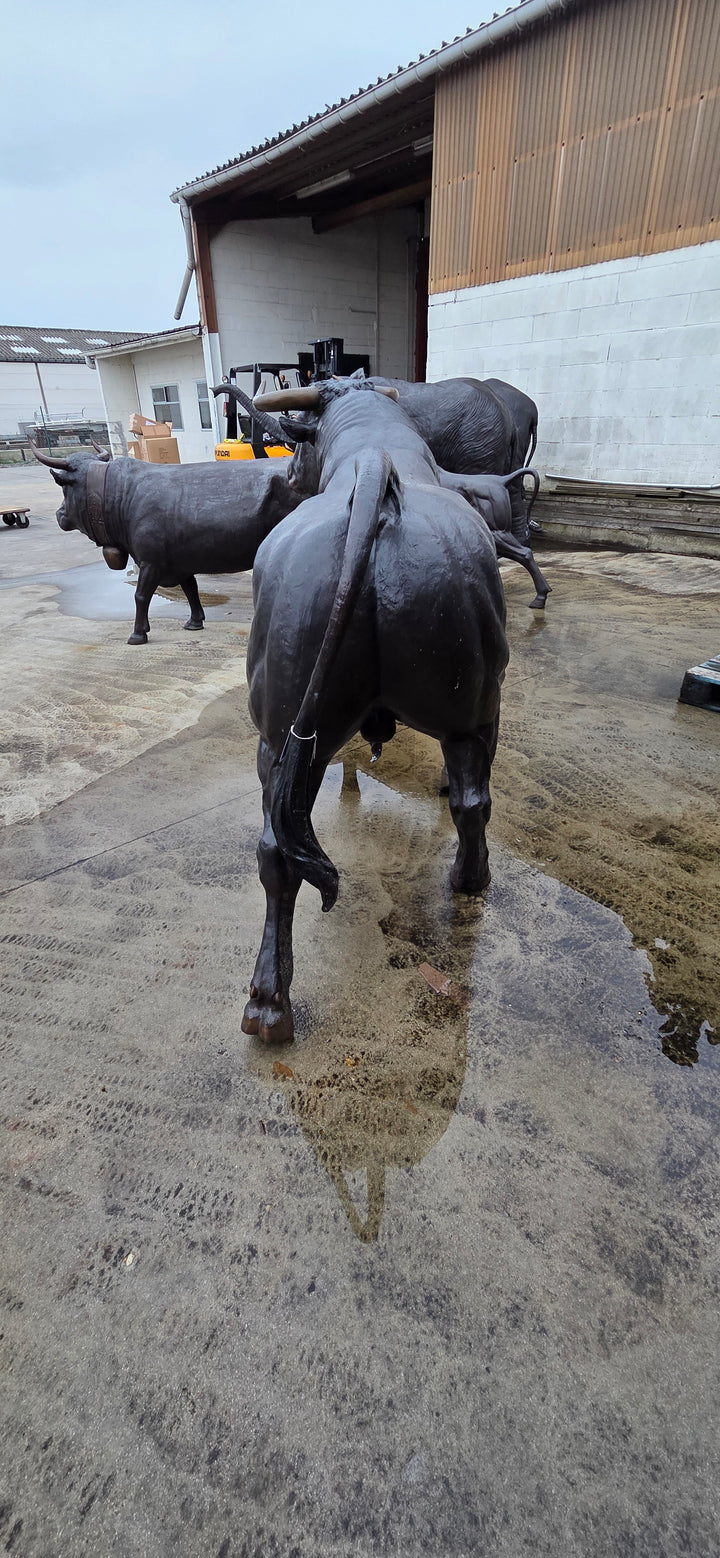 Lifesize bronze bull sculpture