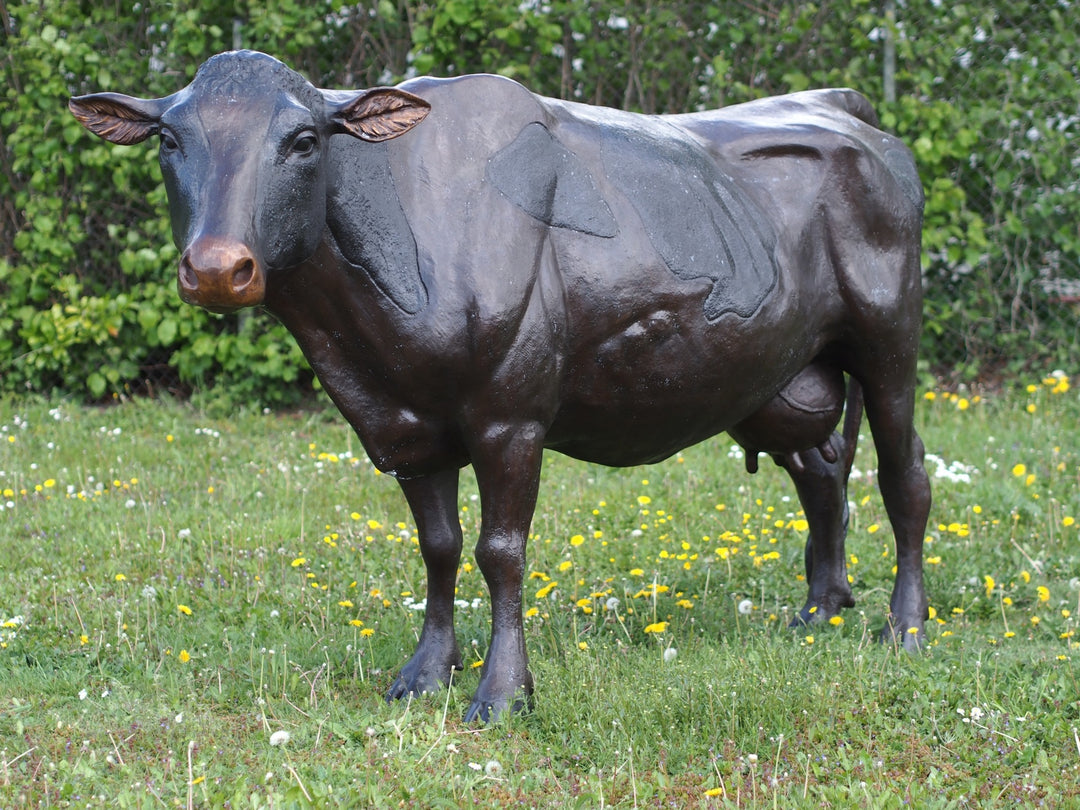 Lifesize bronze cow sculpture