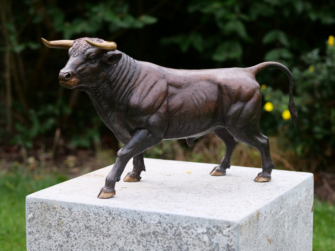 Bronze sculpture of a standing bull
