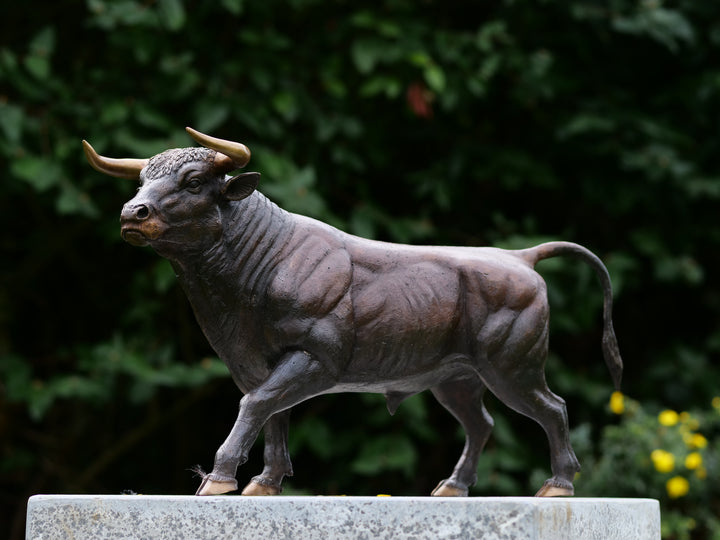 Bronze sculpture of a standing bull