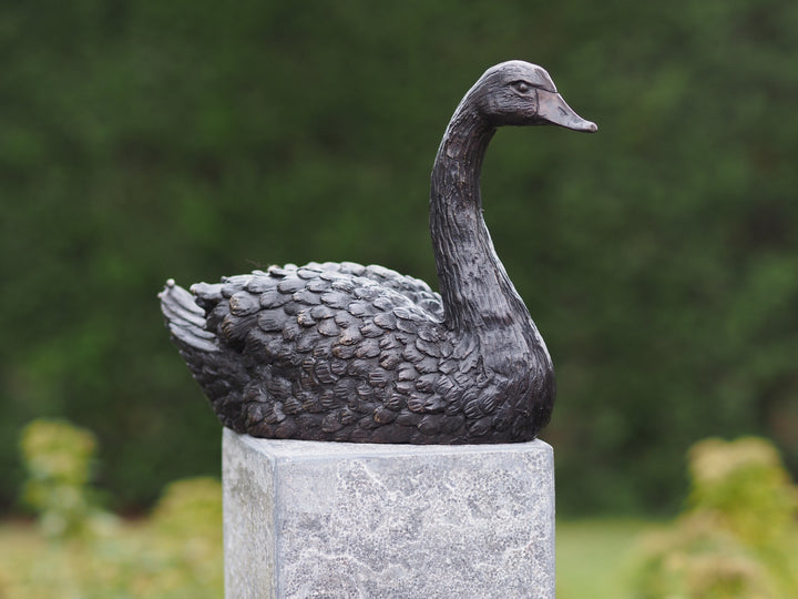 Bronze sculpture of a swimming swan