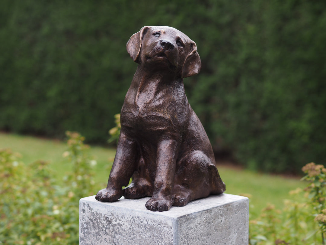Bronze sculpture of a sitting labrador retriever puppy