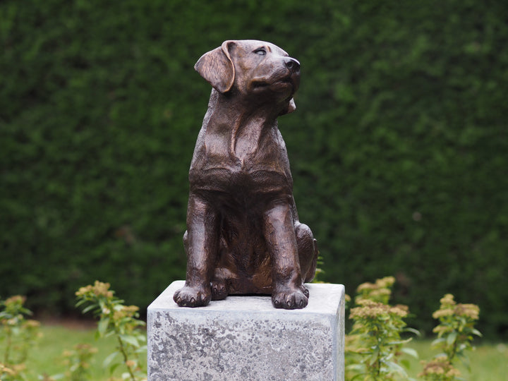 Bronze sculpture of a sitting labrador retriever puppy