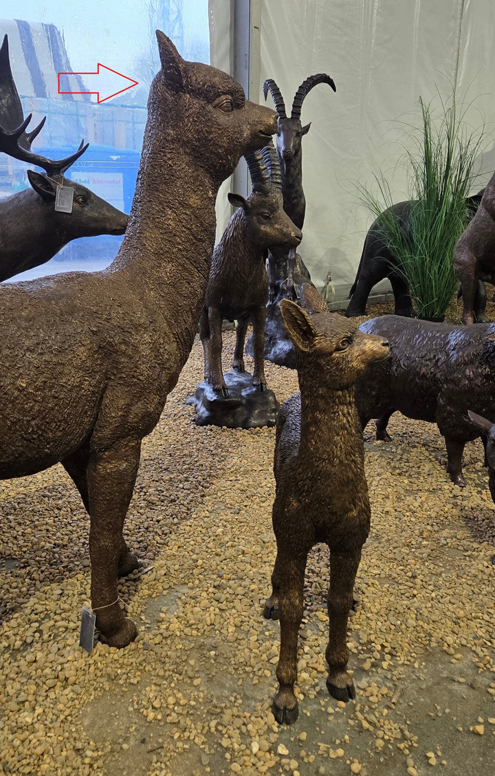 Lifesize bronze alpaca sculpture