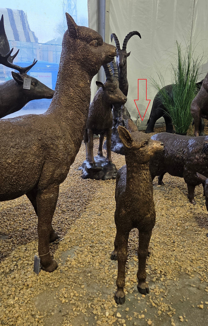 Lifesize bronze sculpture of a baby alpaca (cria)