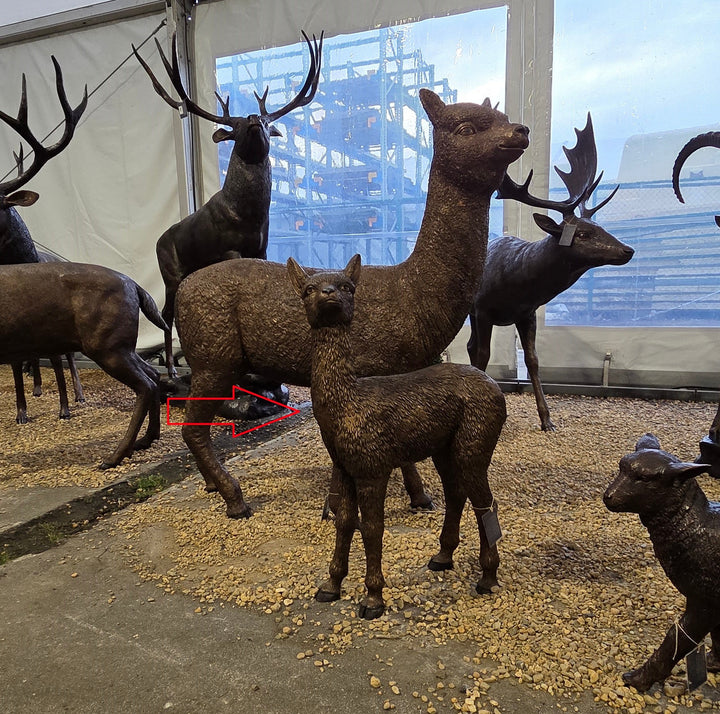 Lifesize bronze sculpture of a baby alpaca (cria)