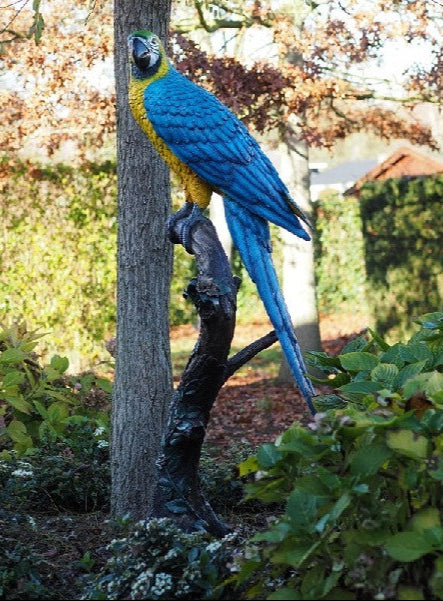Lifesize bronze sculpture of a macaw sitting on a branch