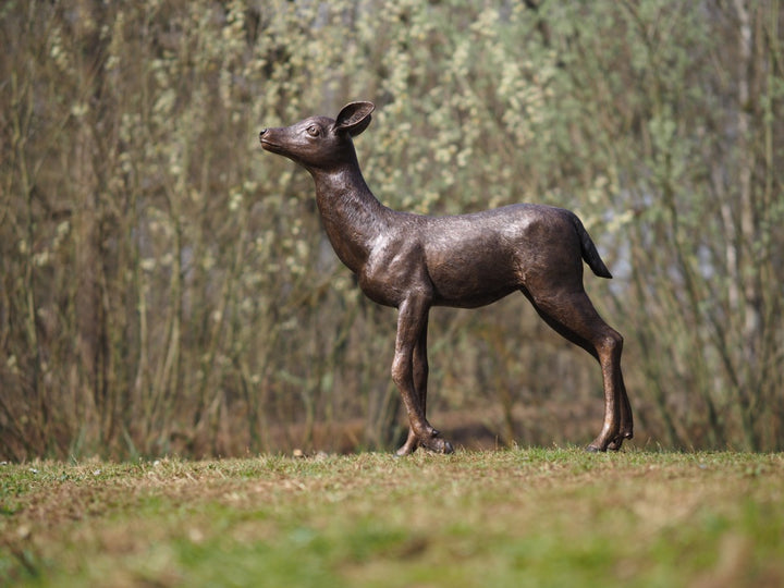 Large bronze sculpture of a deer calf