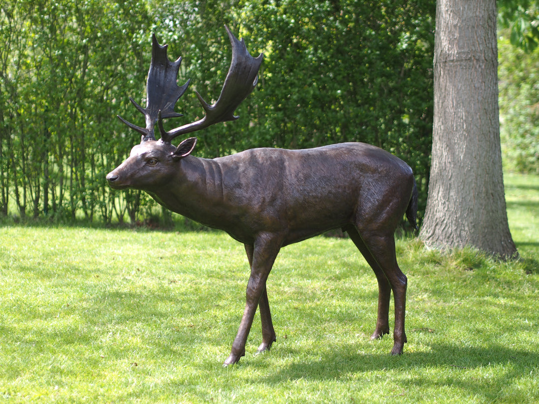 Lifesize bronze sculpture of a fallow deer