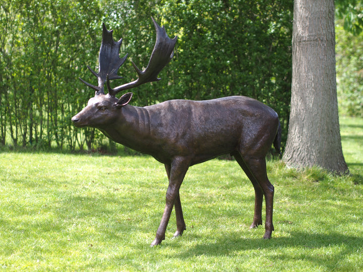 Lifesize bronze sculpture of a fallow deer