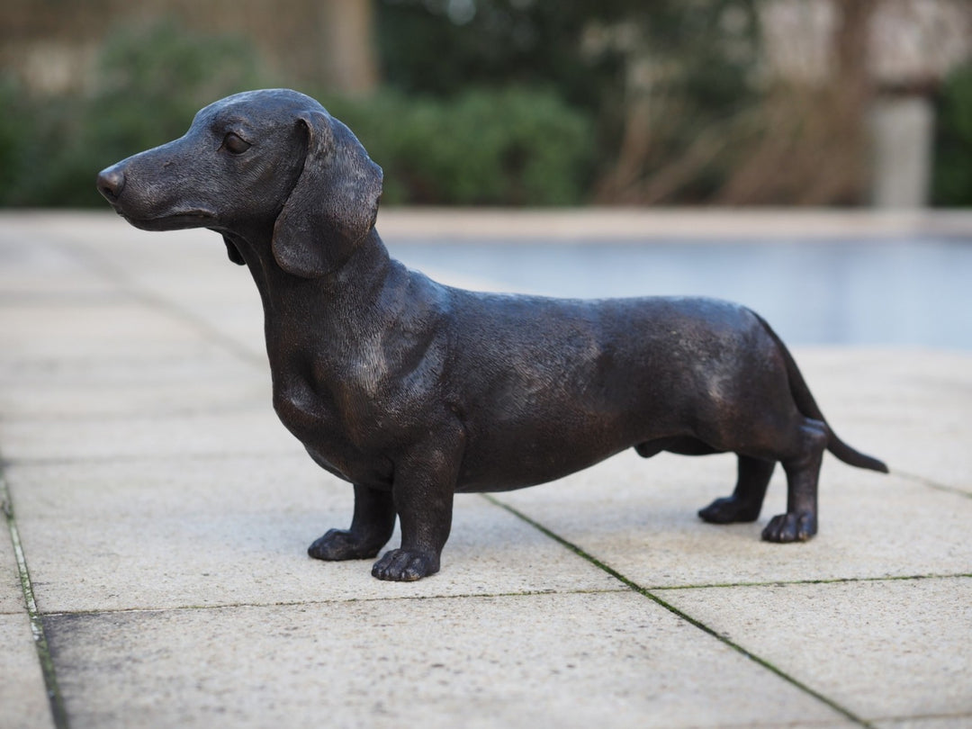 Lebensgröße Bronze Dackel Skulptur