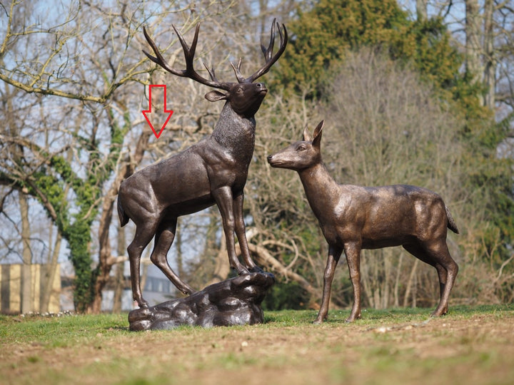 Lifesize bronze sculpture of a deer standing on a rock
