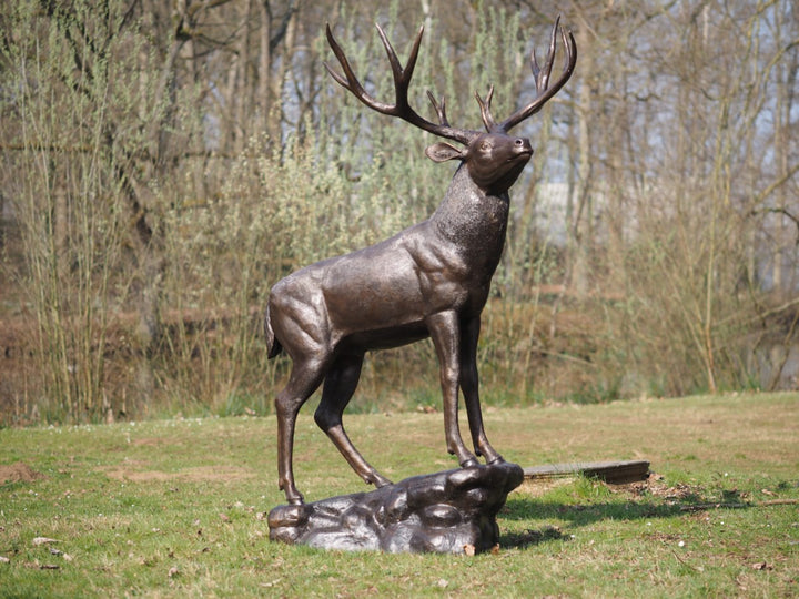 Lifesize bronze sculpture of a deer standing on a rock