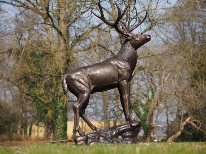 Lifesize bronze sculpture of a deer standing on a rock