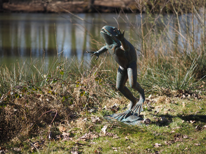 Large bronze frog sculpture and fountain