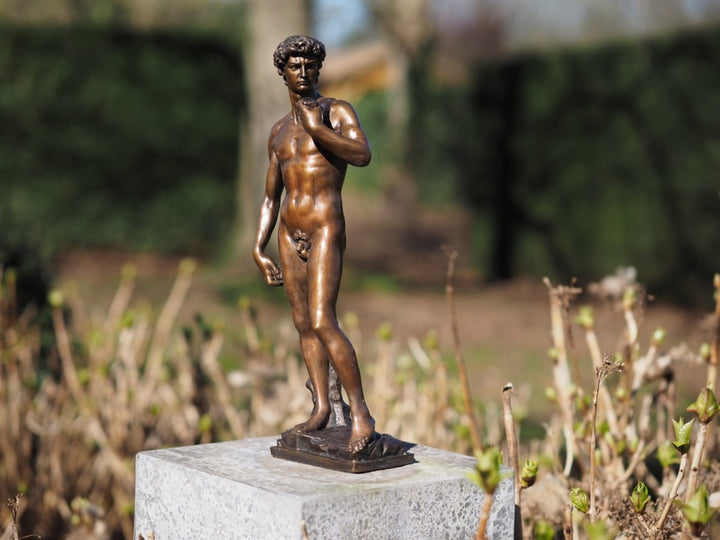 Bronze sculpture of David after Michelangelo