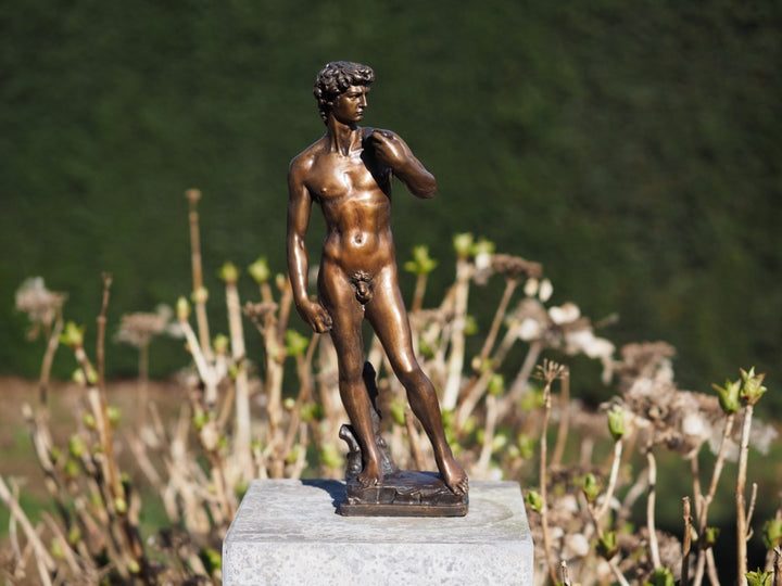 Bronze sculpture of David after Michelangelo