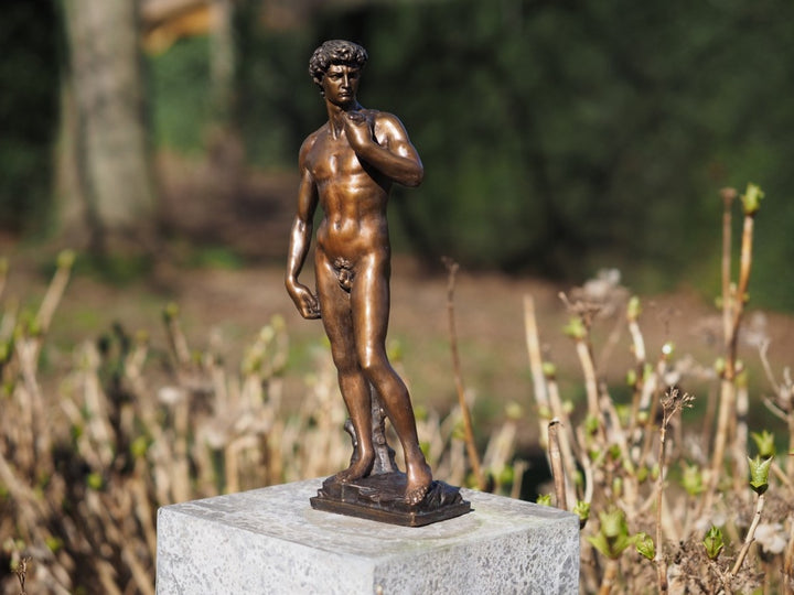 Bronze sculpture of David after Michelangelo