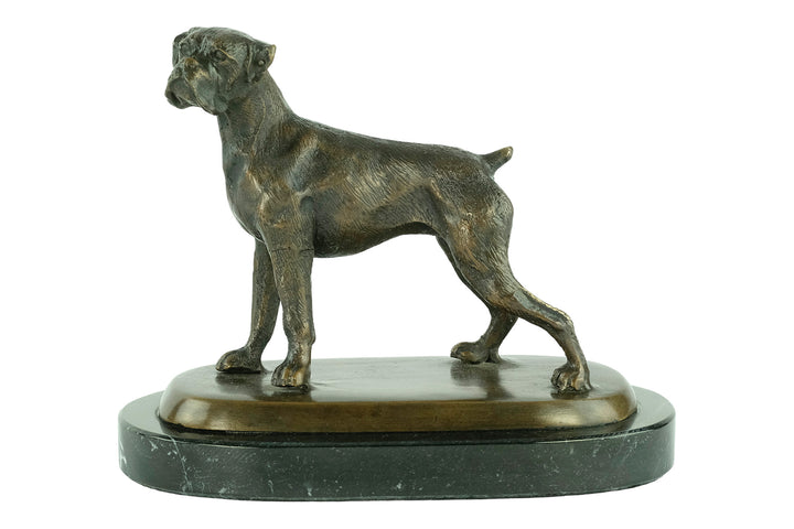 Bronze sculpture of a standing boxer dog