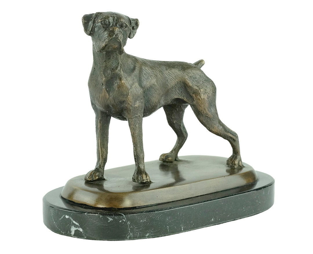 Bronze sculpture of a standing boxer dog