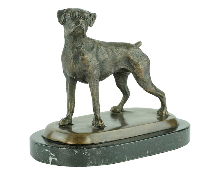 Bronze sculpture of a standing boxer dog