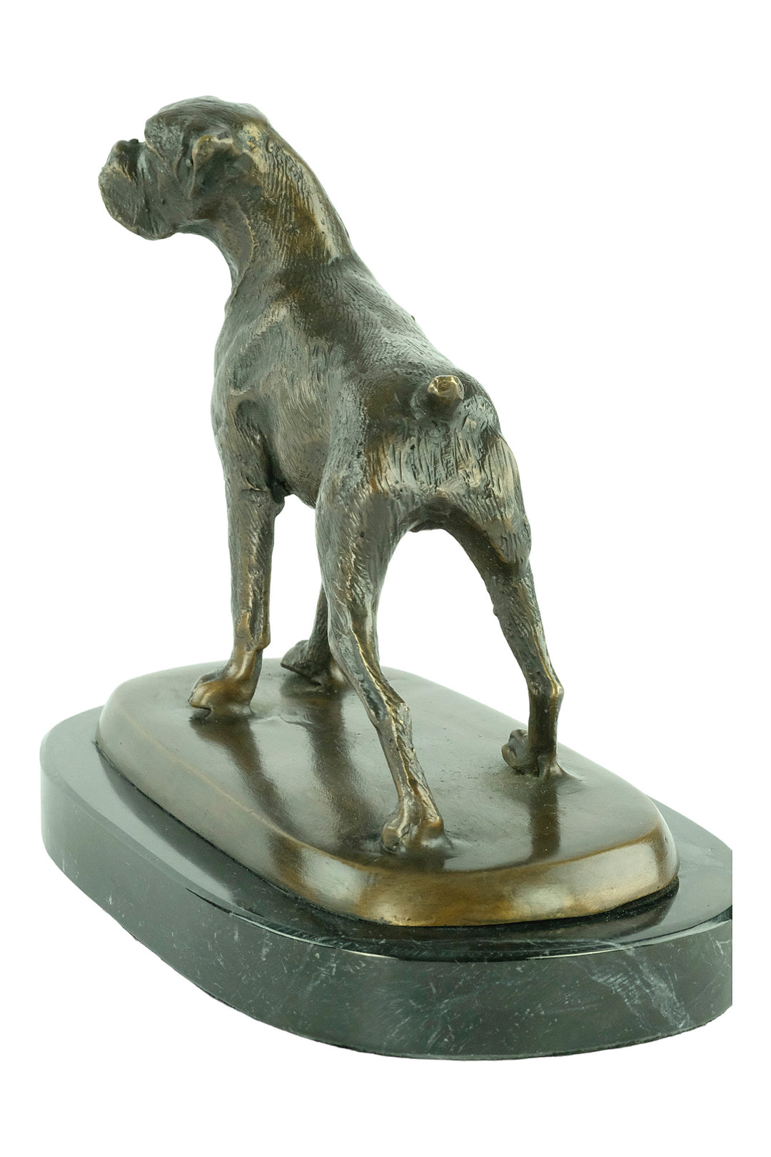 Bronze sculpture of a standing boxer dog