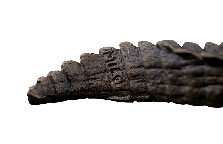 Bronze crocodile sculpture on green marble base