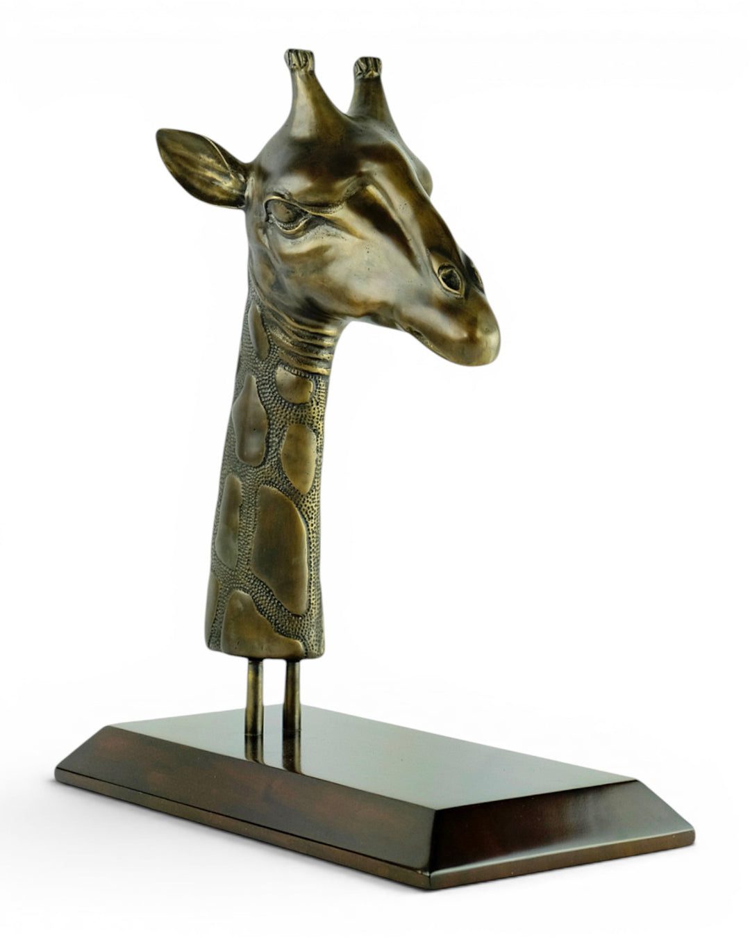 Luxurious bronze sculpture of a giraffe head on mahogany wooden base