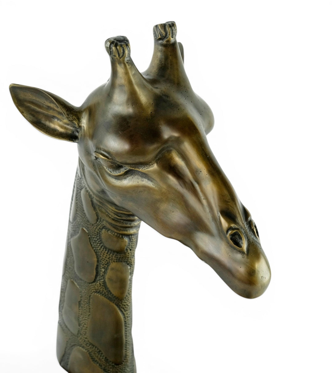 Luxurious bronze sculpture of a giraffe head on mahogany wooden base