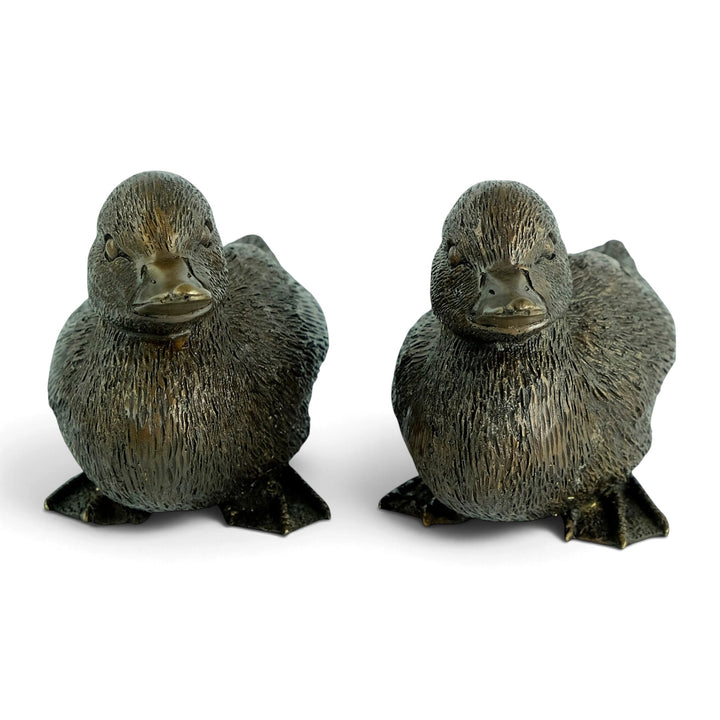 Paar bronzen beelden van eendjes