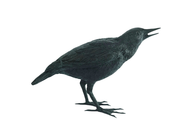 Lifesize bronze sculpture of a raven female