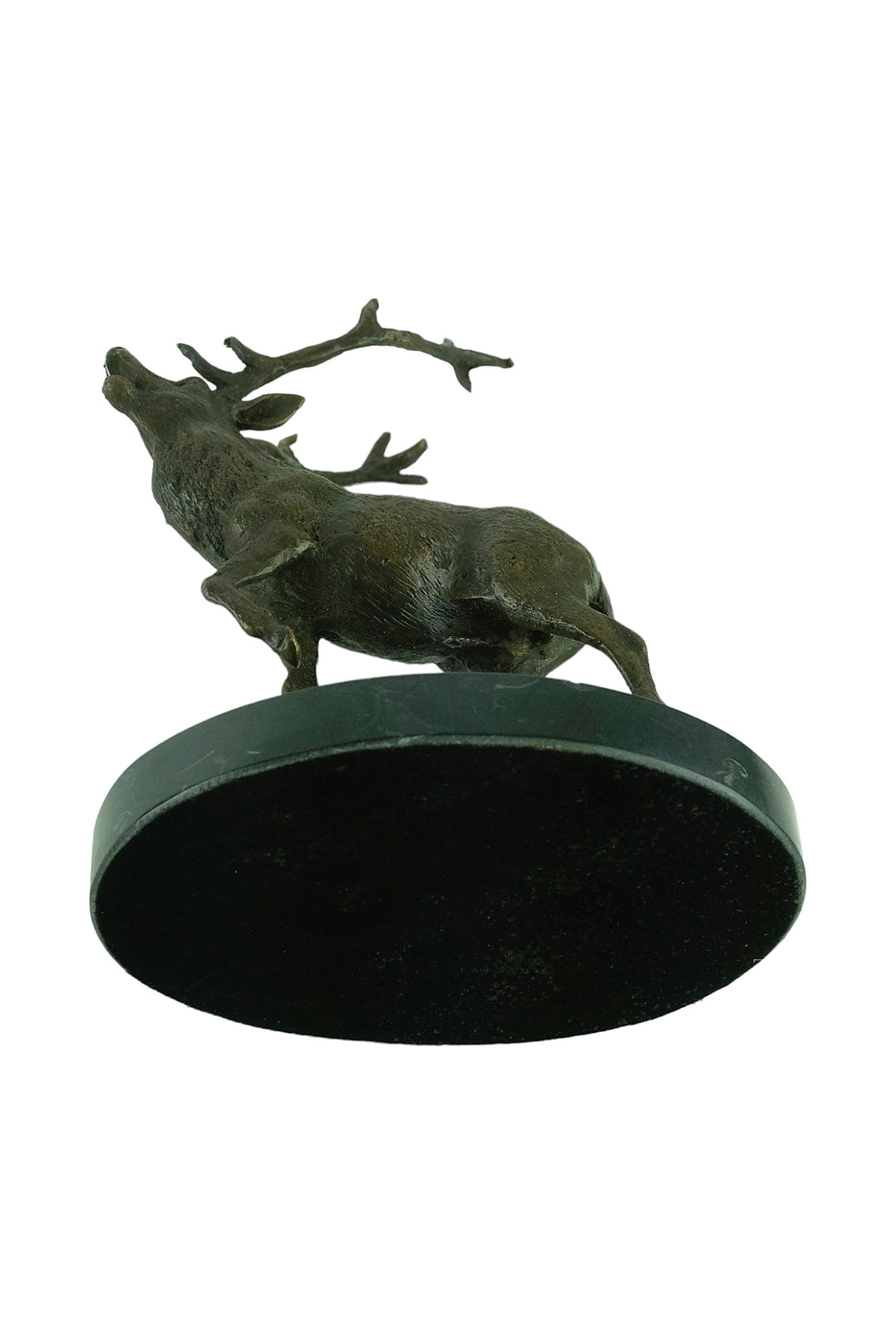 Bronze sculpture of a red deer bellowing