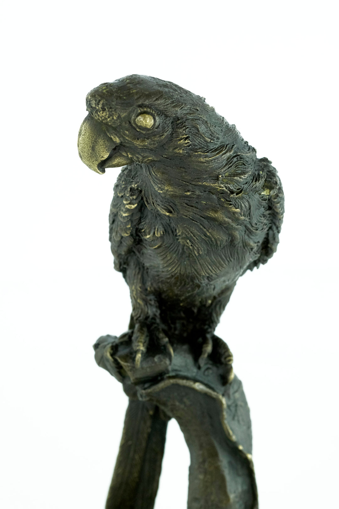 Bronze sculpture of a parrot sitting on a branch