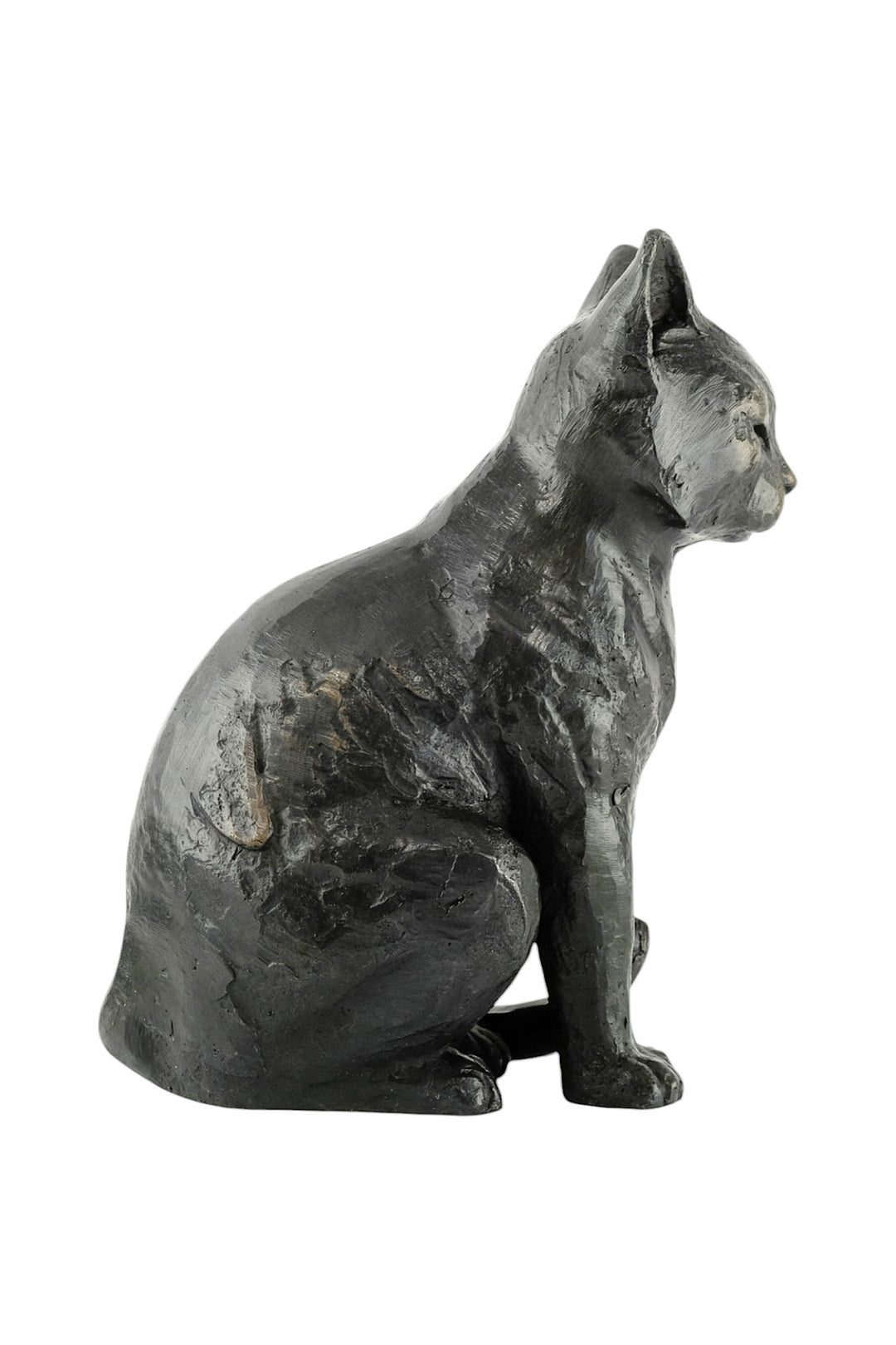 Bronze sculpture of a sitting cat