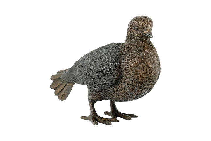 Bronze sculpture of a standing pigeon