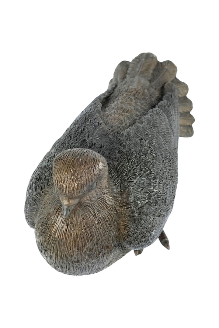 Bronze sculpture of a standing pigeon