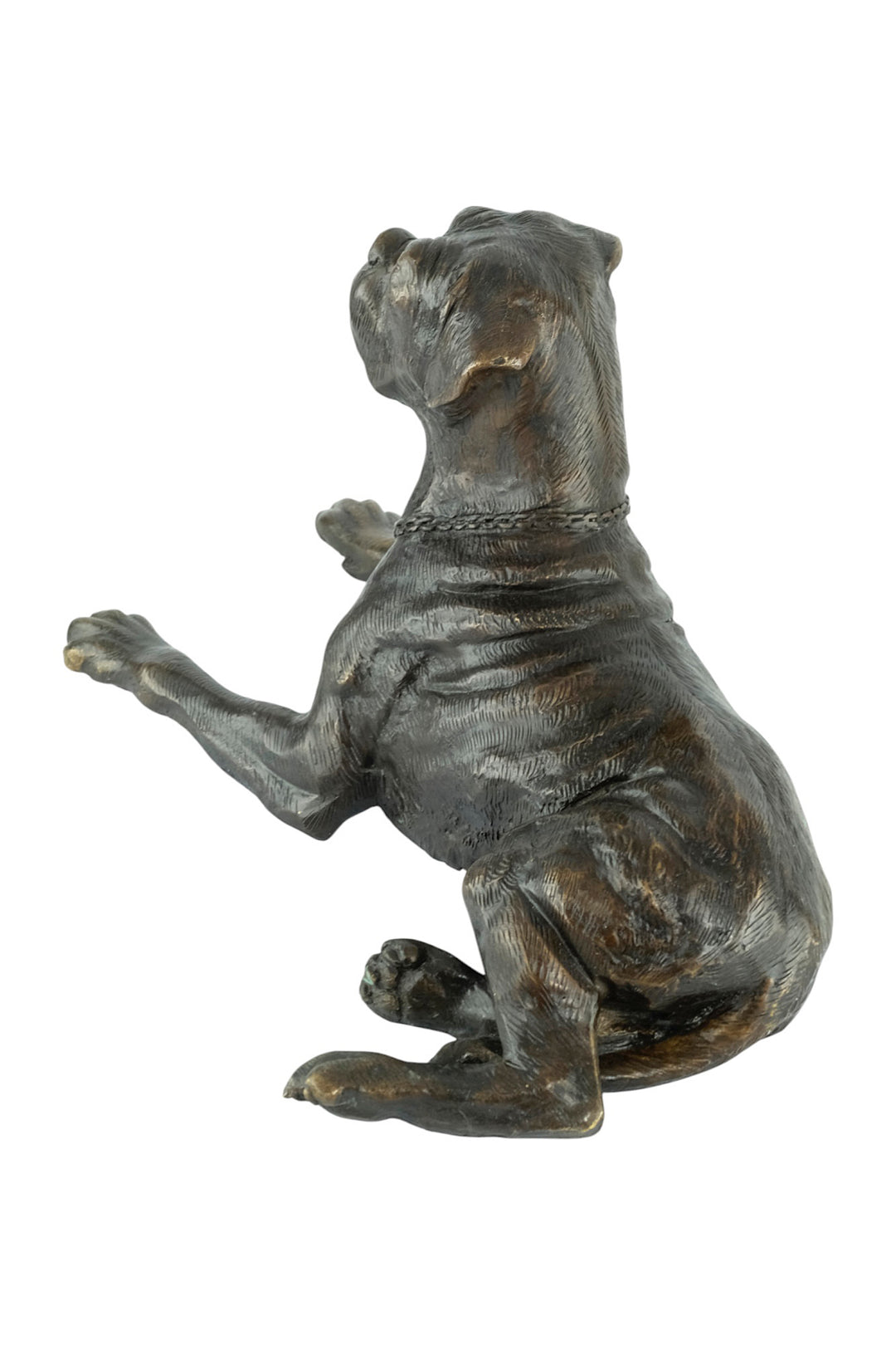 Bronze sculpture of a reclining boxer dog