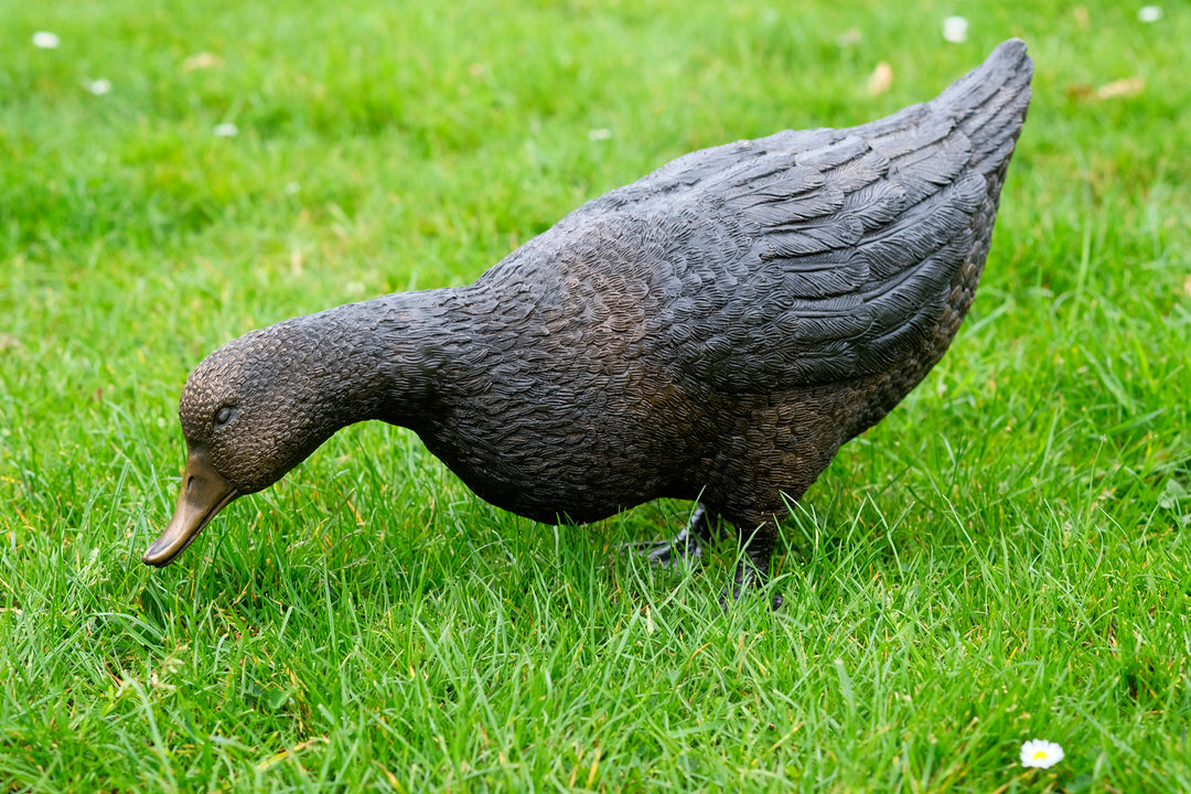 Large bronze sculpture of a foraging duck