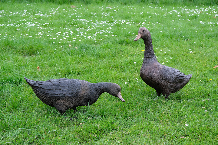 Large bronze pair of duck sculpture