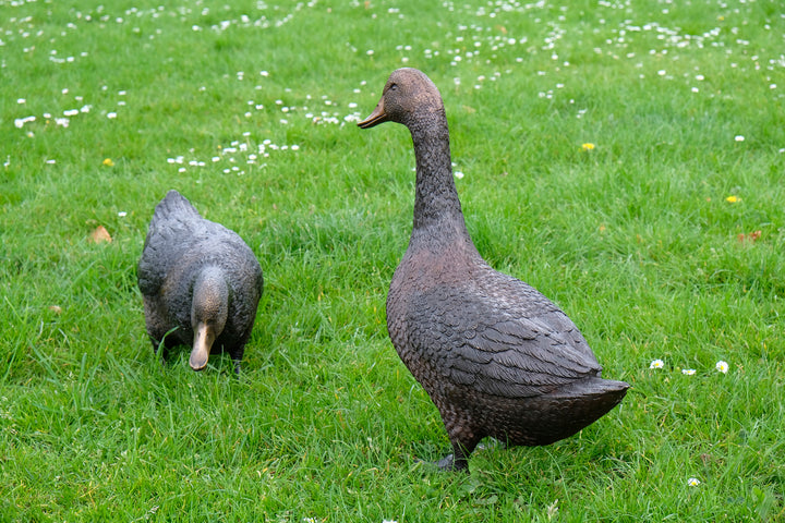 Large bronze pair of duck sculpture